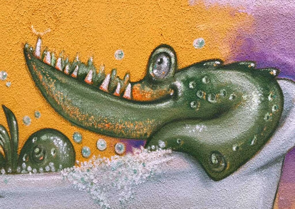 Detalhe do Jacaré Tomando Banho, Ópera Criativa, Linguagem de Marca