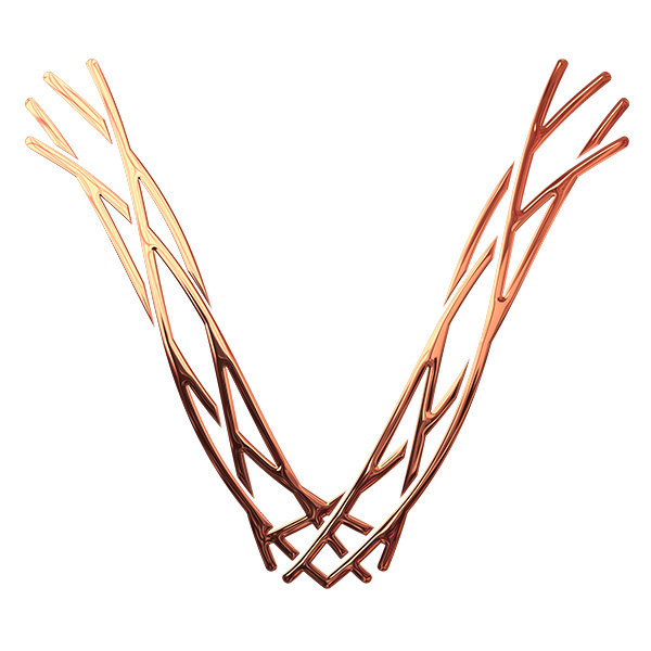 Ilustração do símbolo gráfico da clínica Vascular Care de Florianópolis SC, parte do projeto de identidade visual desenvolvido para a marca