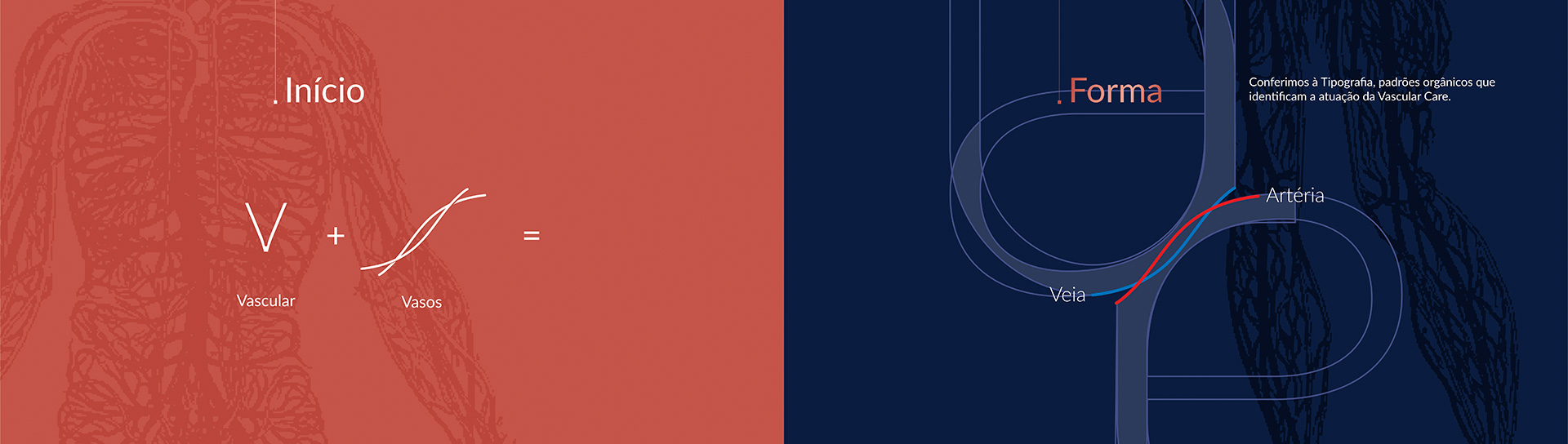 Conceito de desenvolvimento do logotipo da marca Vascular Care criado pela Ópera Criativa para a clínica de Florianópolis SC